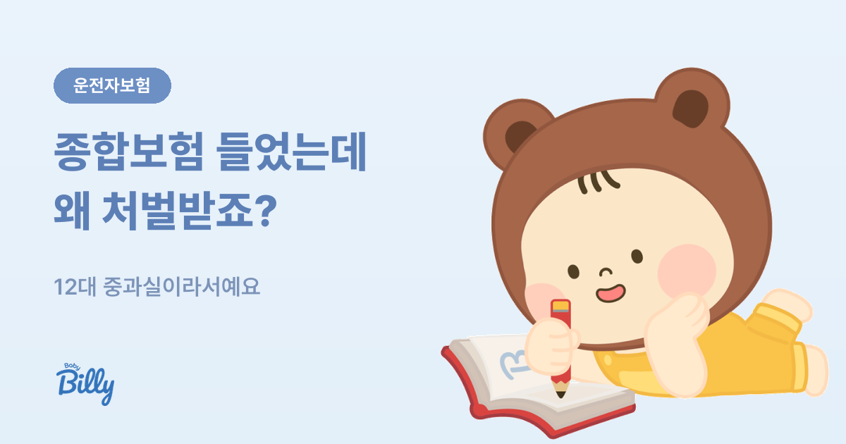 12대 중과실과 운전자보험 - 종합보험으로 안 되는 부분 - 베이비빌리 가이드