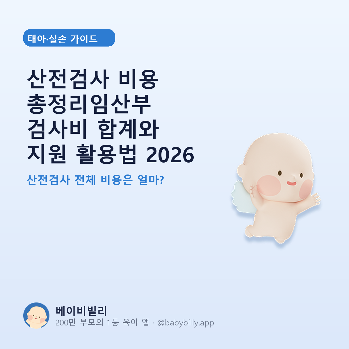 산전검사 비용 총정리임산부 검사비 합계와 지원 활용법 2026 - 베이비빌리 가이드