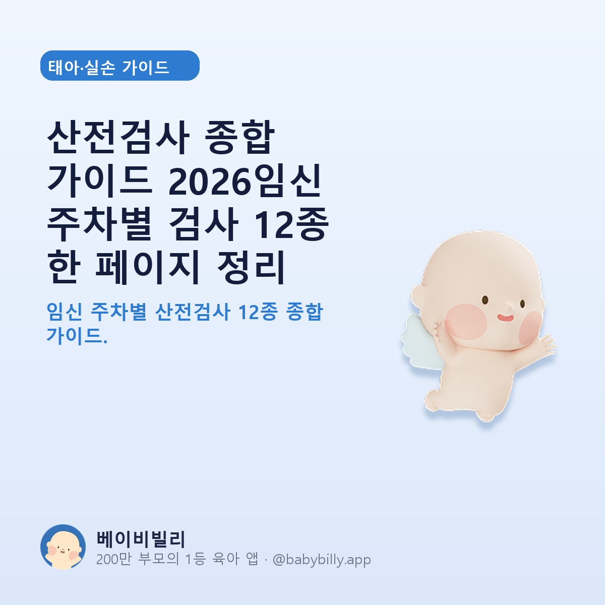 산전검사 종합 가이드 2026임신 주차별 검사 12종 한 페이지 정리 - 베이비빌리 가이드