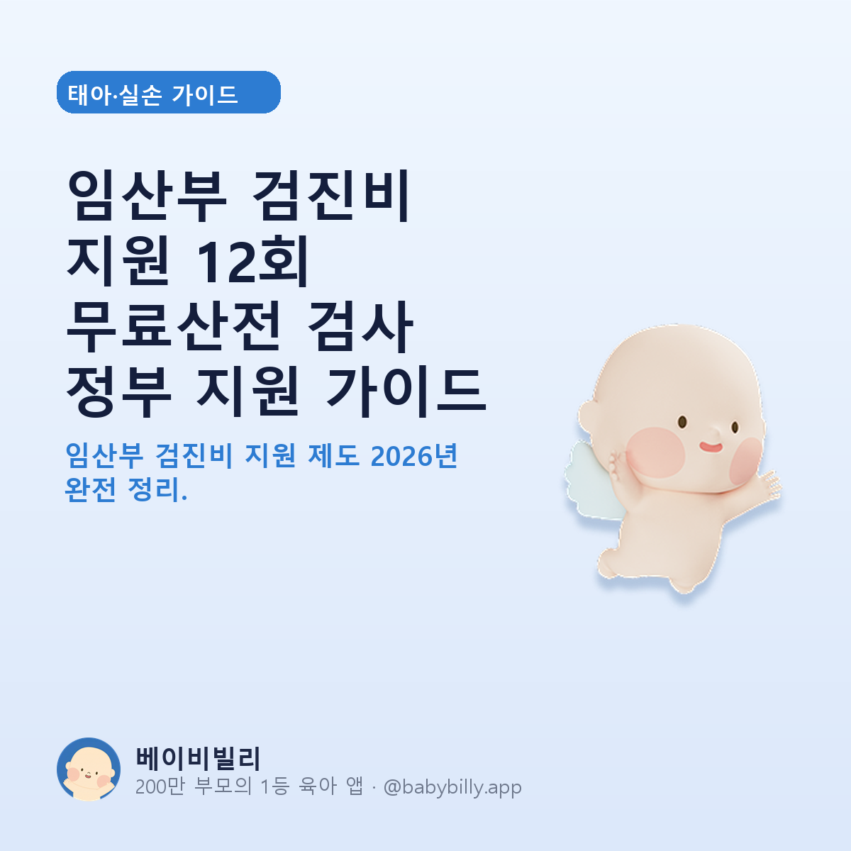 임산부 검진비 지원 12회 무료산전 검사 정부 지원 가이드 - 베이비빌리 가이드