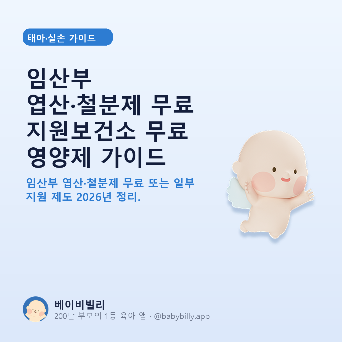 임산부 엽산·철분제 무료 지원보건소 무료 영양제 가이드 - 베이비빌리 가이드