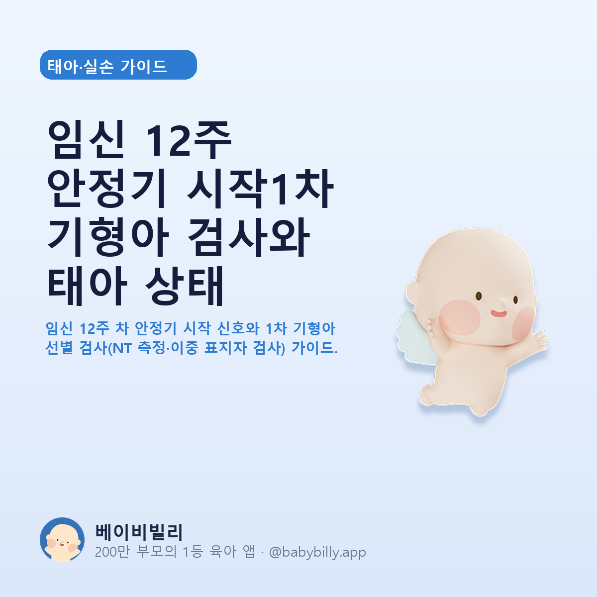 임신 12주 안정기 시작1차 기형아 검사와 태아 상태 - 베이비빌리 가이드