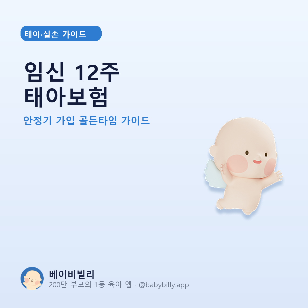 임신 12주 태아보험 - 베이비빌리 가이드