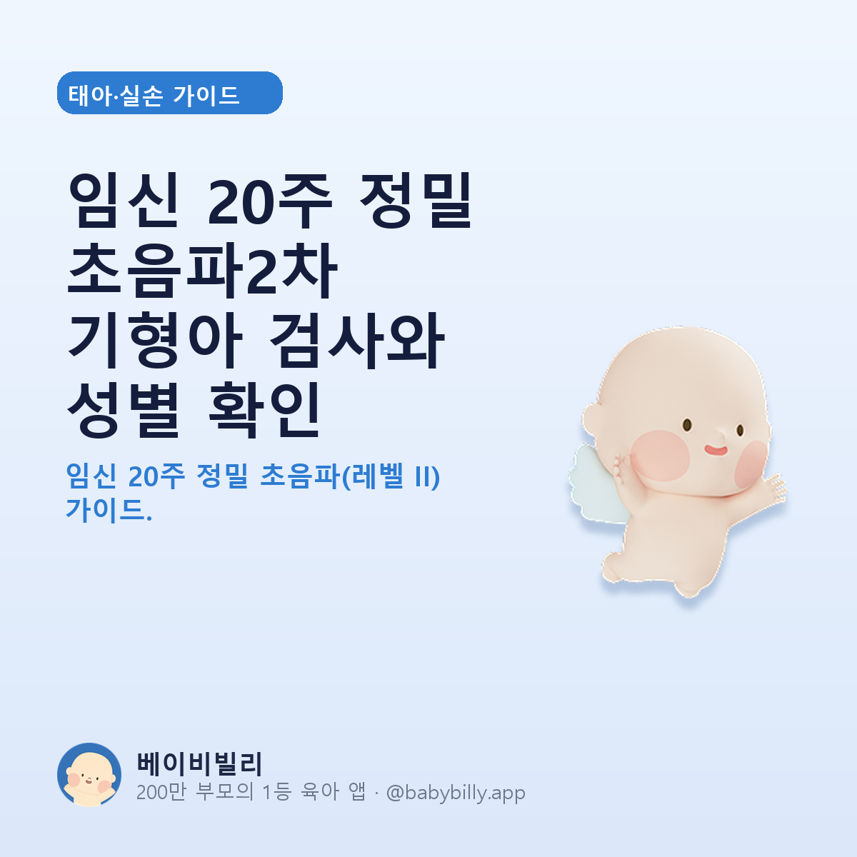 임신 20주 정밀 초음파2차 기형아 검사와 성별 확인 - 베이비빌리 가이드