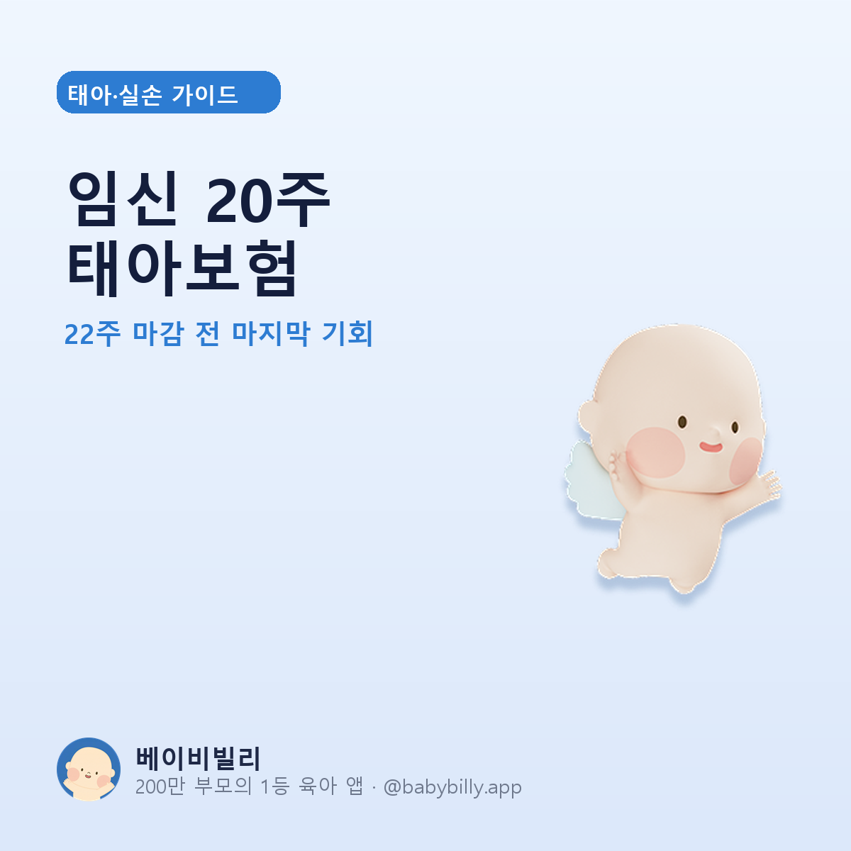 임신 20주 태아보험 - 베이비빌리 가이드