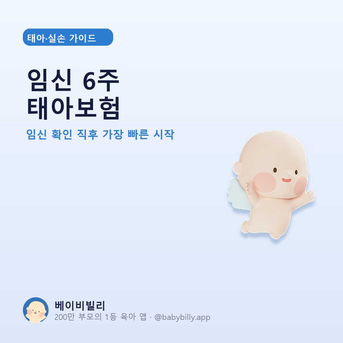 임신 6주 태아보험 - 베이비빌리 가이드