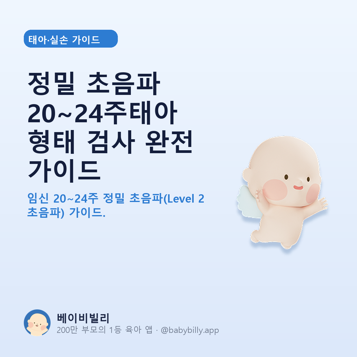 정밀 초음파 20~24주태아 형태 검사 완전 가이드 - 베이비빌리 가이드