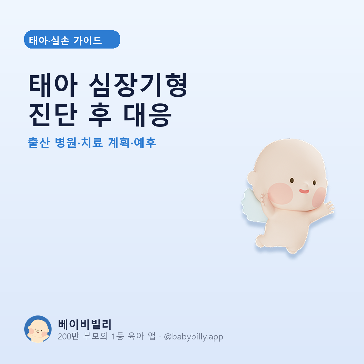 태아 심장기형 진단 후 대응 - 베이비빌리 가이드
