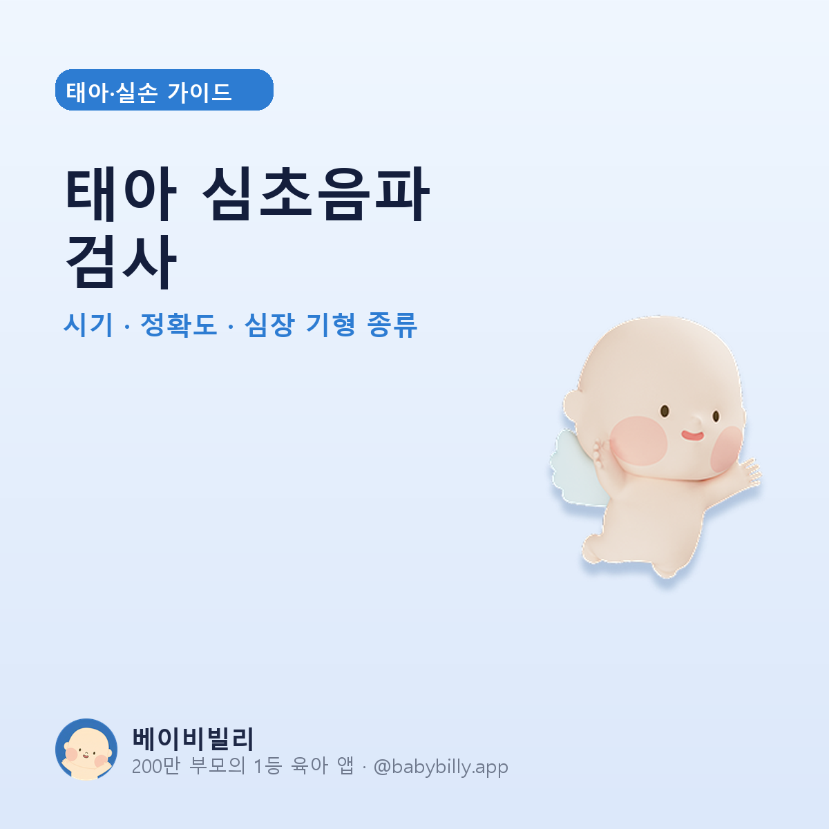 태아 심초음파 검사 - 베이비빌리 가이드