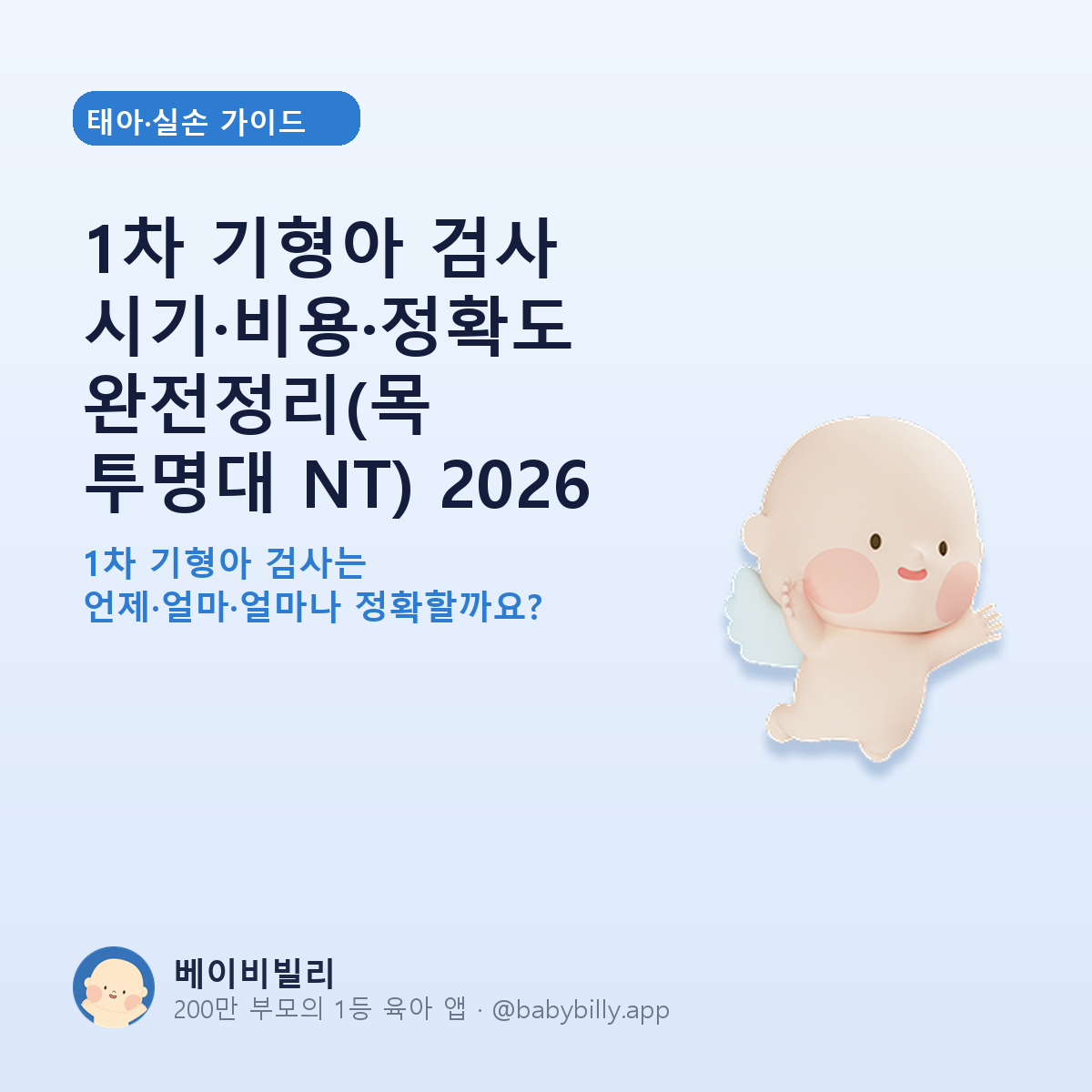 1차 기형아 검사 시기·비용·정확도 완전정리(목 투명대 NT) 2026 - 베이비빌리 가이드