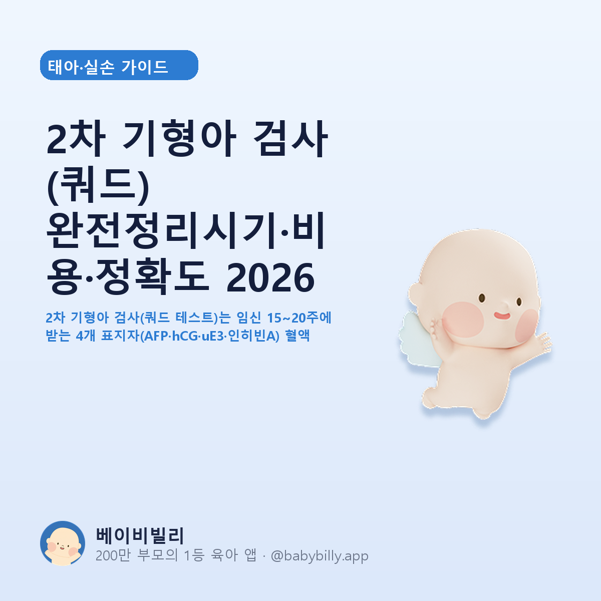 2차 기형아 검사 (쿼드) 완전정리시기·비용·정확도 2026 - 베이비빌리 가이드