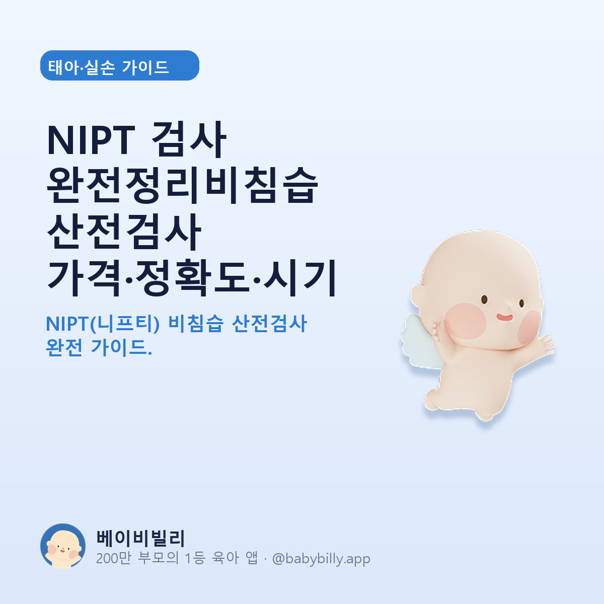 NIPT 검사 완전정리비침습 산전검사 가격·정확도·시기 - 베이비빌리 가이드