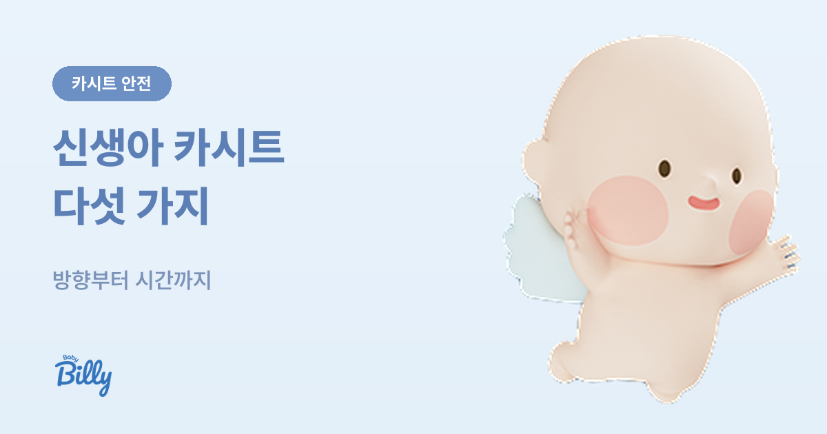 신생아 바구니 카시트 안전 장착 수칙 - 베이비빌리 가이드