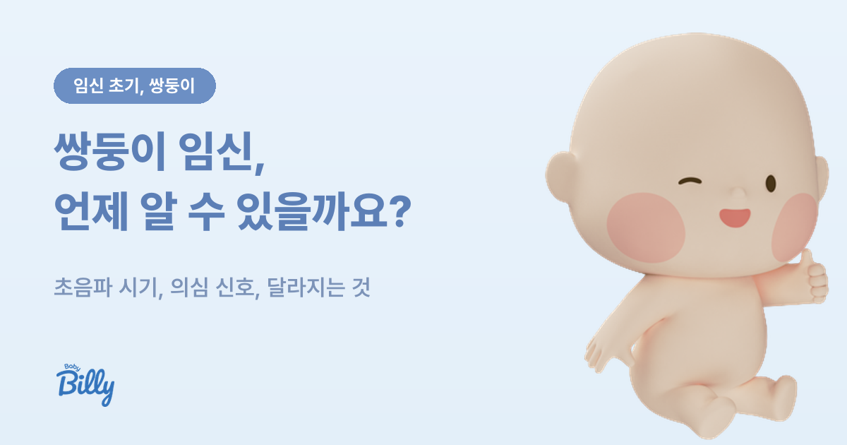 쌍둥이 임신을 알 수 있는 시기와 확인 후 달라지는 것 정리 - 베이비빌리 가이드