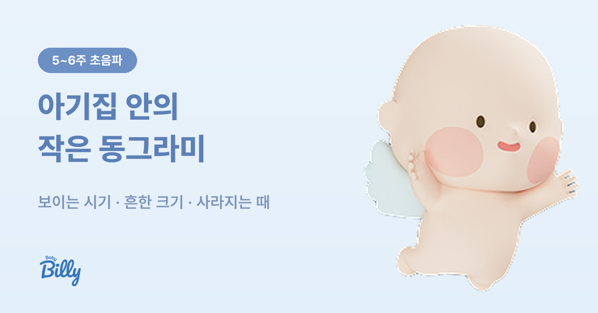 임신 초기 초음파의 난황 크기와 보이는 시기 - 베이비빌리 가이드