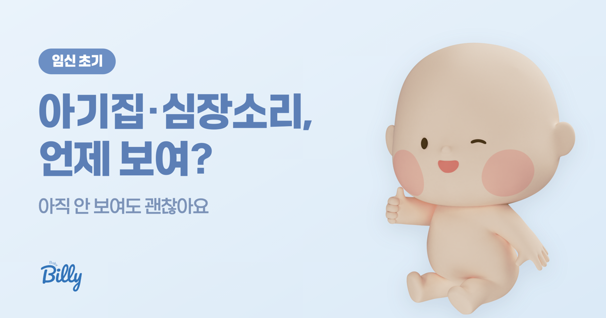 아기집·심장소리 언제 보여 - 베이비빌리 가이드