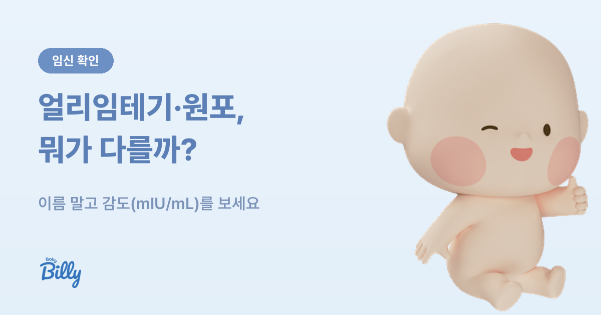 얼리임테기 원포 일반 임테기 차이 정리 - 베이비빌리 가이드