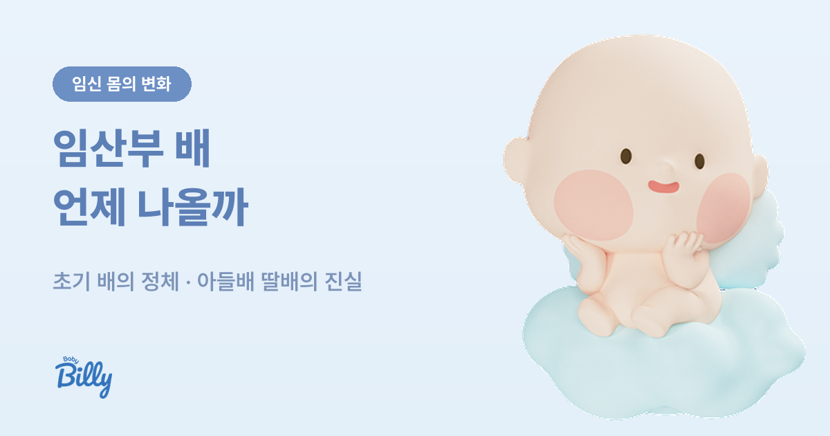 임산부 배 나오는 시기 - 초기 배의 정체와 크기 기준 - 베이비빌리 가이드