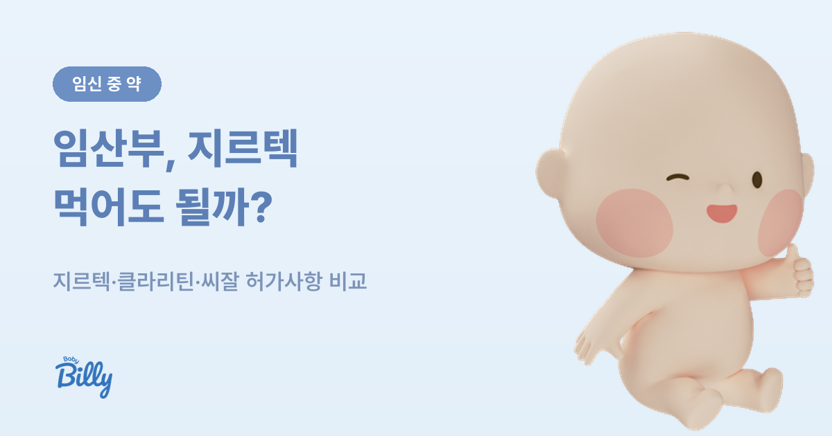 임산부 지르텍 알레르기약 복용 기준 정리 - 베이비빌리 가이드