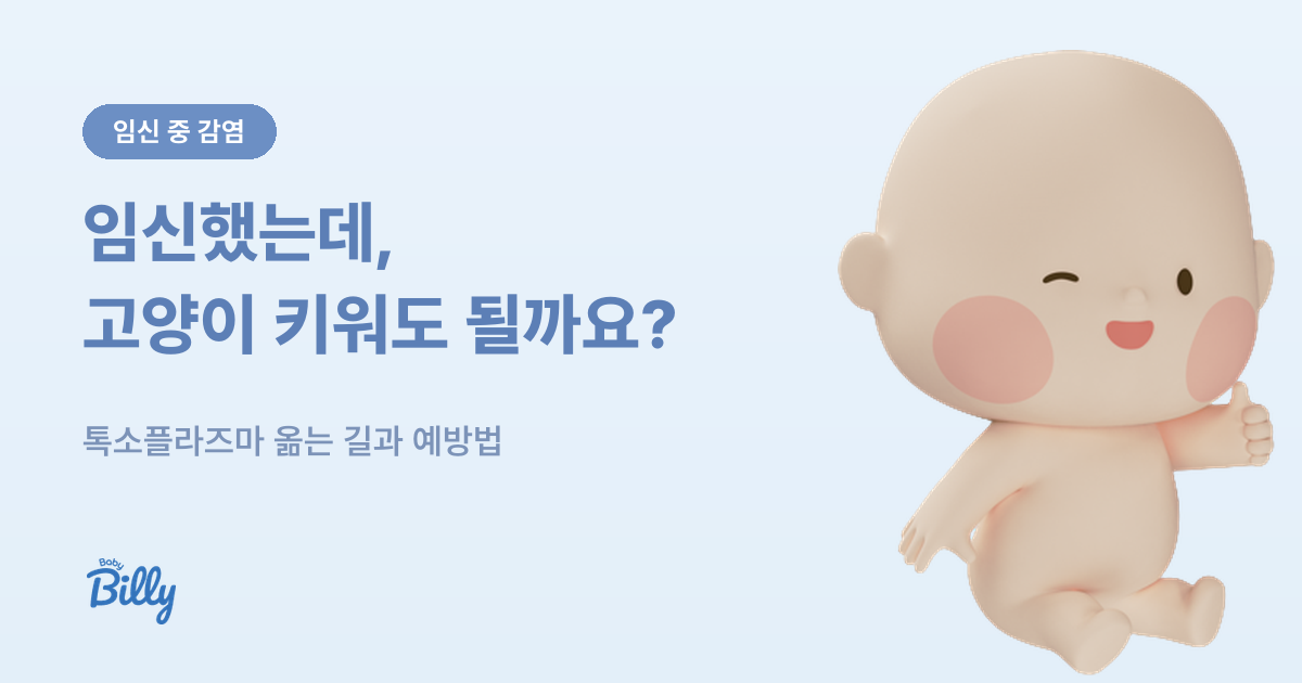 임산부 톡소플라즈마와 고양이, 생고기 예방법 정리 - 베이비빌리 가이드