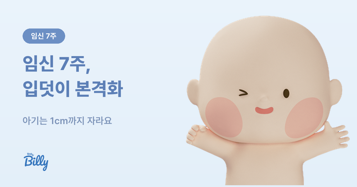 임신 7주 증상과 해야 할 일 - 베이비빌리 가이드