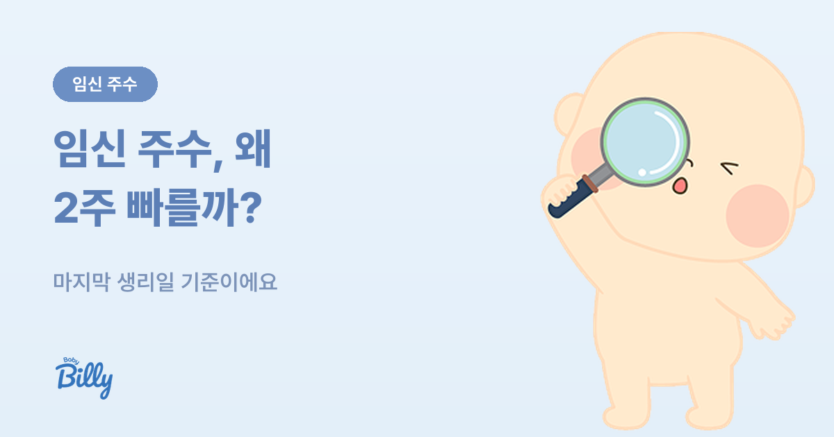 임신 주수 계산법 - 마지막 생리일 기준과 예정일 - 베이비빌리 가이드