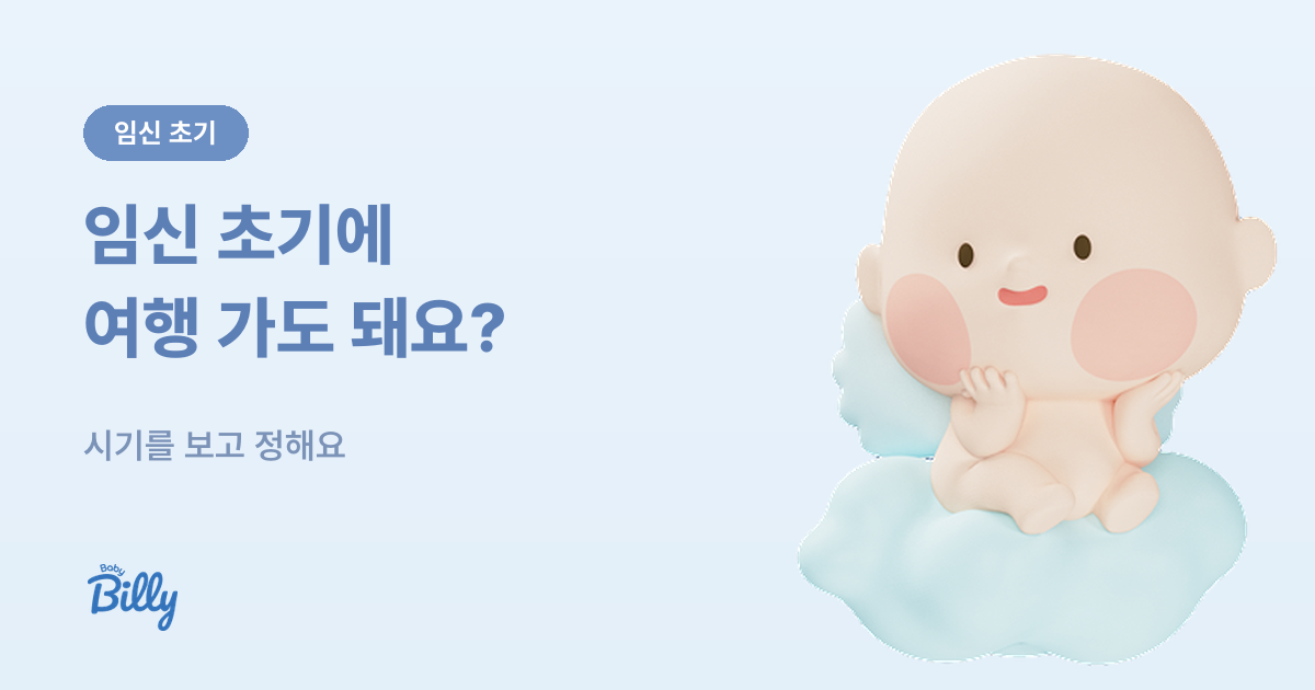 임신 초기 여행과 비행기 - 시기별 기준 - 베이비빌리 가이드
