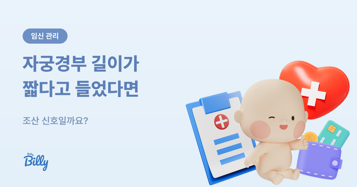 자궁경부 무력증과 자궁경부 길이 - 조산 신호 판단 - 베이비빌리 가이드