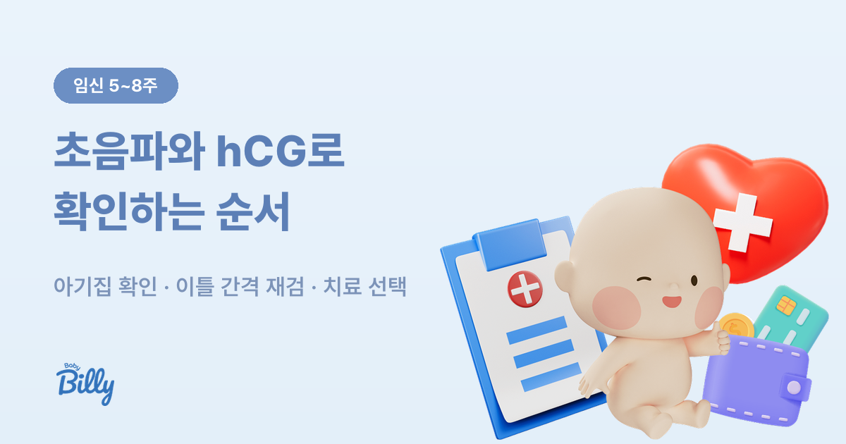 자궁외임신을 초음파와 hCG 수치로 확인하는 순서 - 베이비빌리 가이드