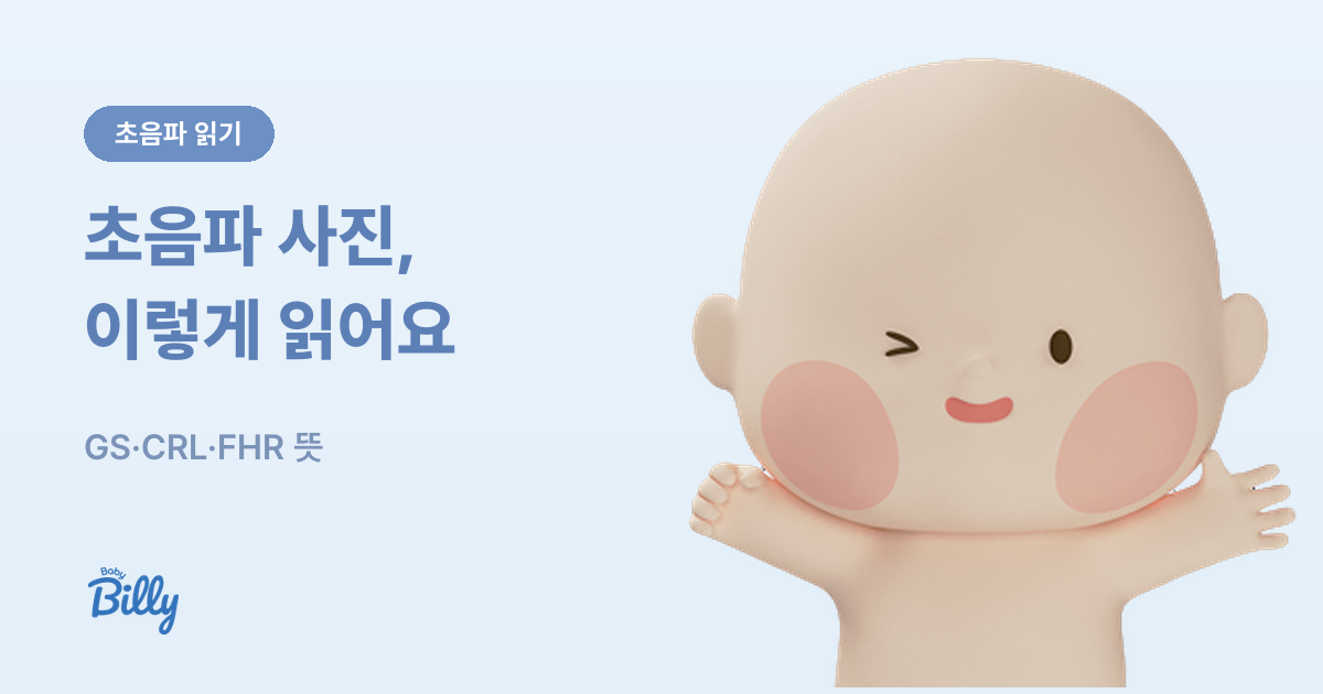 초음파 사진 보는 법 - GS CRL FHR 약어 읽기 - 베이비빌리 가이드