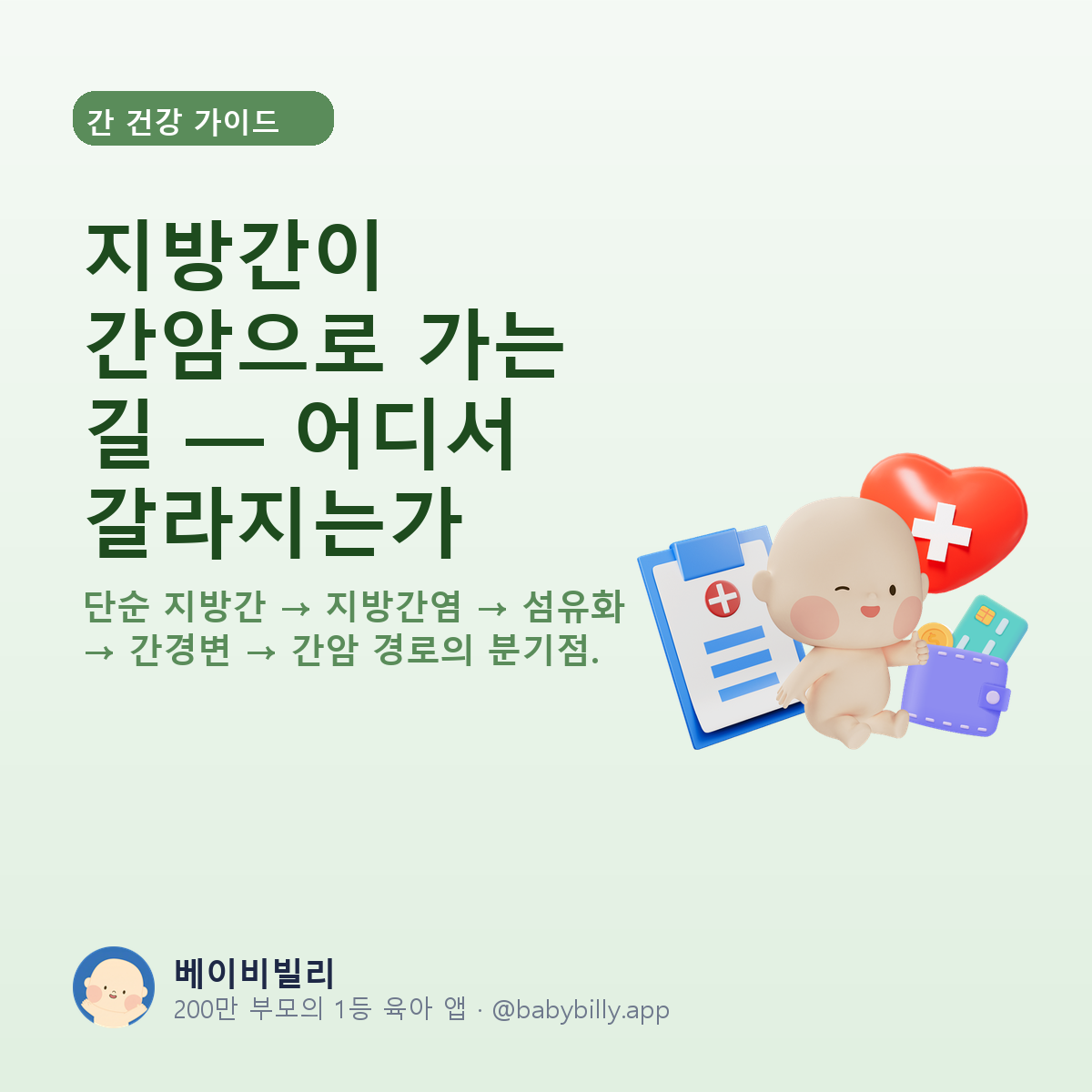 지방간이 간암으로 가는 길 — 어디서 갈라지는가 - 베이비빌리 가이드